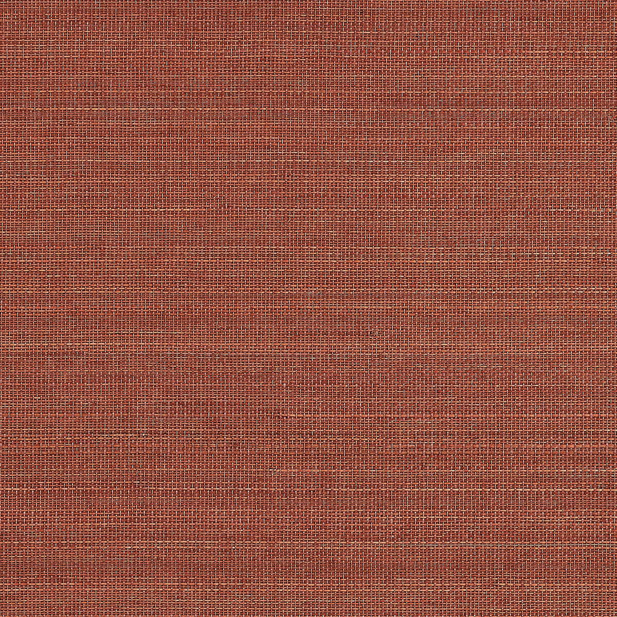 ABACA-HARVEST-TERRACOTTA-CANYONS-PHILLIP-JEFFRIES-1110