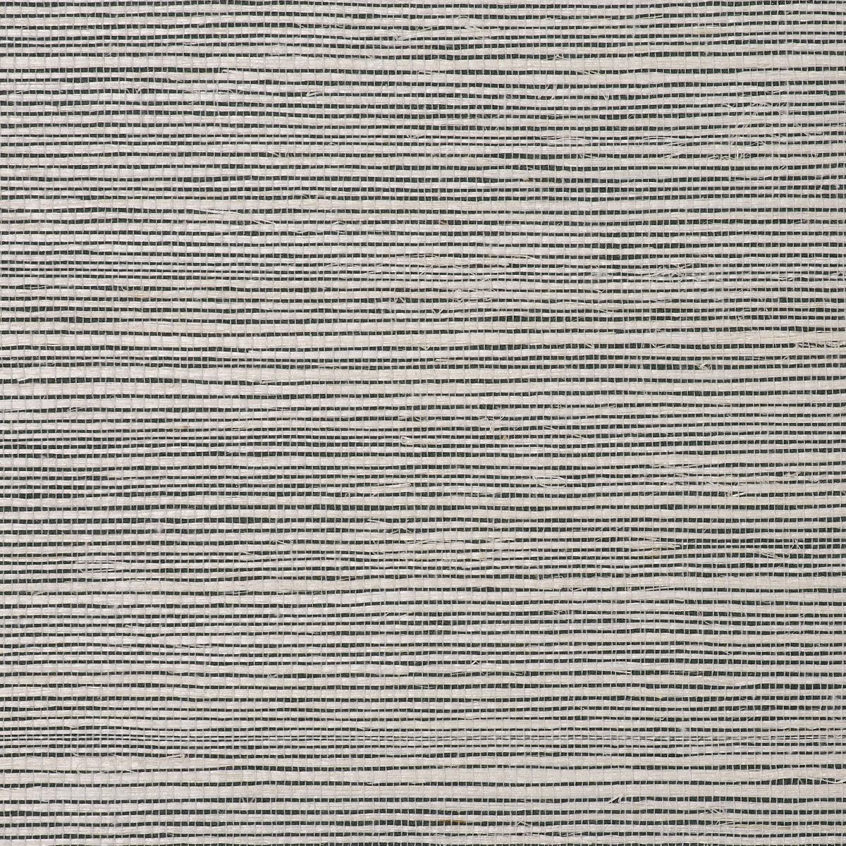 BERMUDA-HEMP-MIDNIGHT-JADE-PHILLIP-JEFFRIES-5524