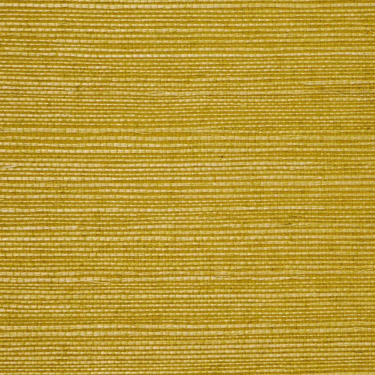 MANILA-HEMP-QUINCE-PHILLIP-JEFFRIES-5272 - Phillip Jeffries Wallpaper Wallpaper