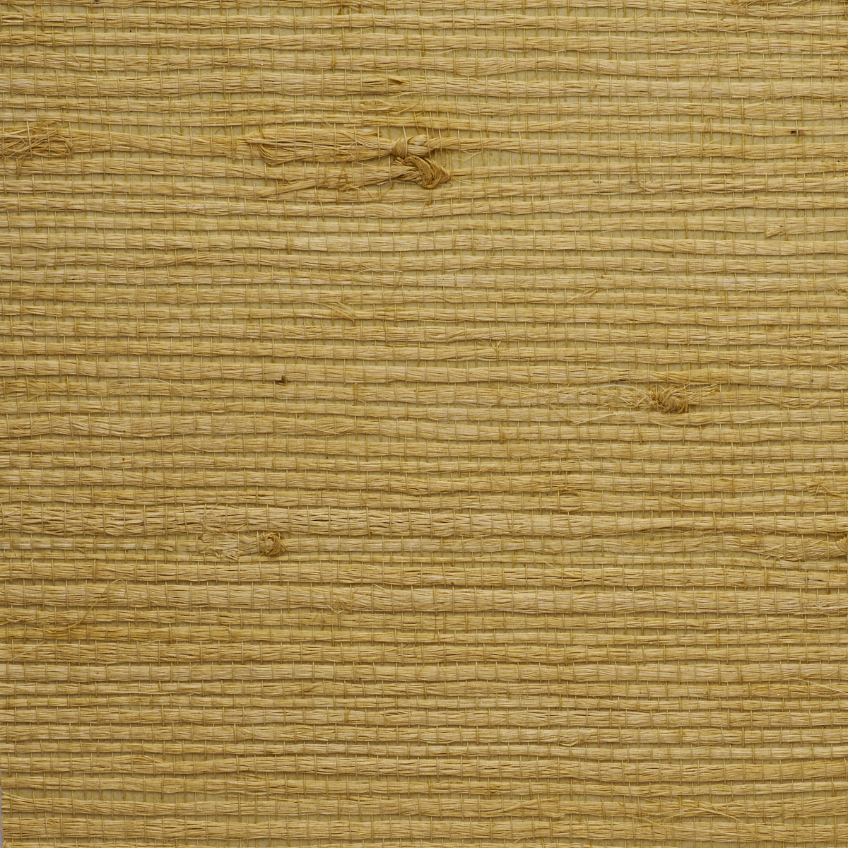 JUICY-JUTE-MEYER-LEMON-PHILLIP-JEFFRIES-4822 - Phillip Jeffries Wallpaper Wallpaper
