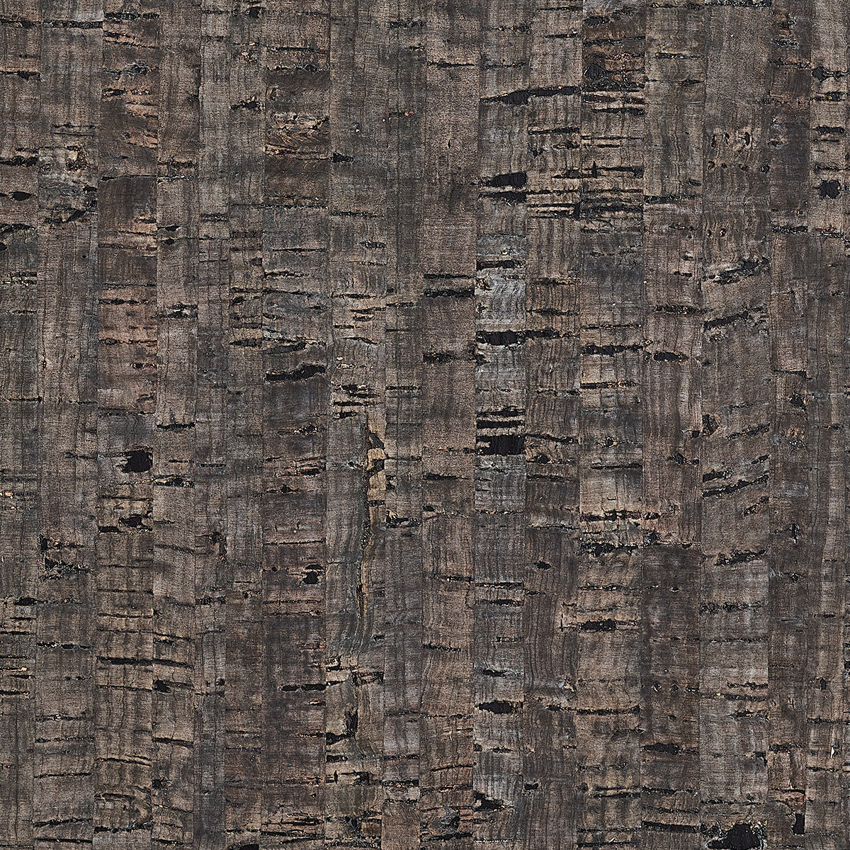 ENCHANTED-WOODS-LEGENDARY-CHOCOLATE-PHILLIP-JEFFRIES-713 - Phillip Jeffries Wallpaper Wallcovering