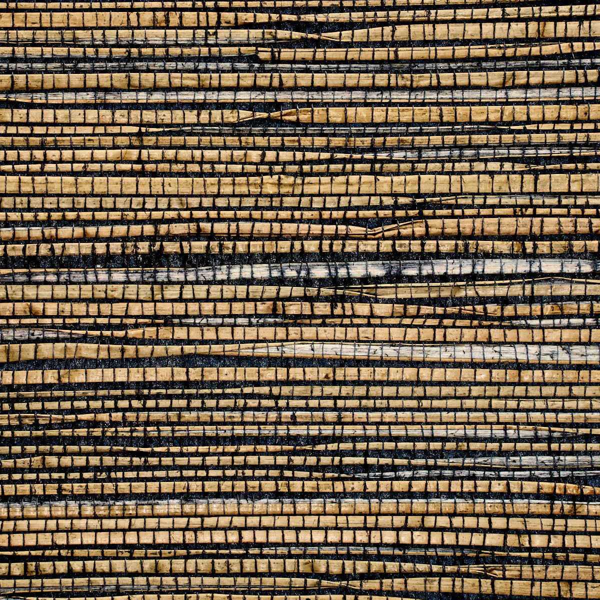 GRASS-ROOTS-CLASSIC-NAVY-PHILLIP-JEFFRIES-3381 - Phillip Jeffries Wallpaper Wallpaper
