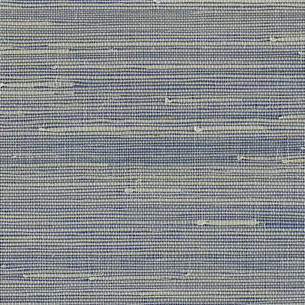 JAZZY-JUTE-BLUEBERRY-BOOGIE-PHILLIP-JEFFRIES-8855