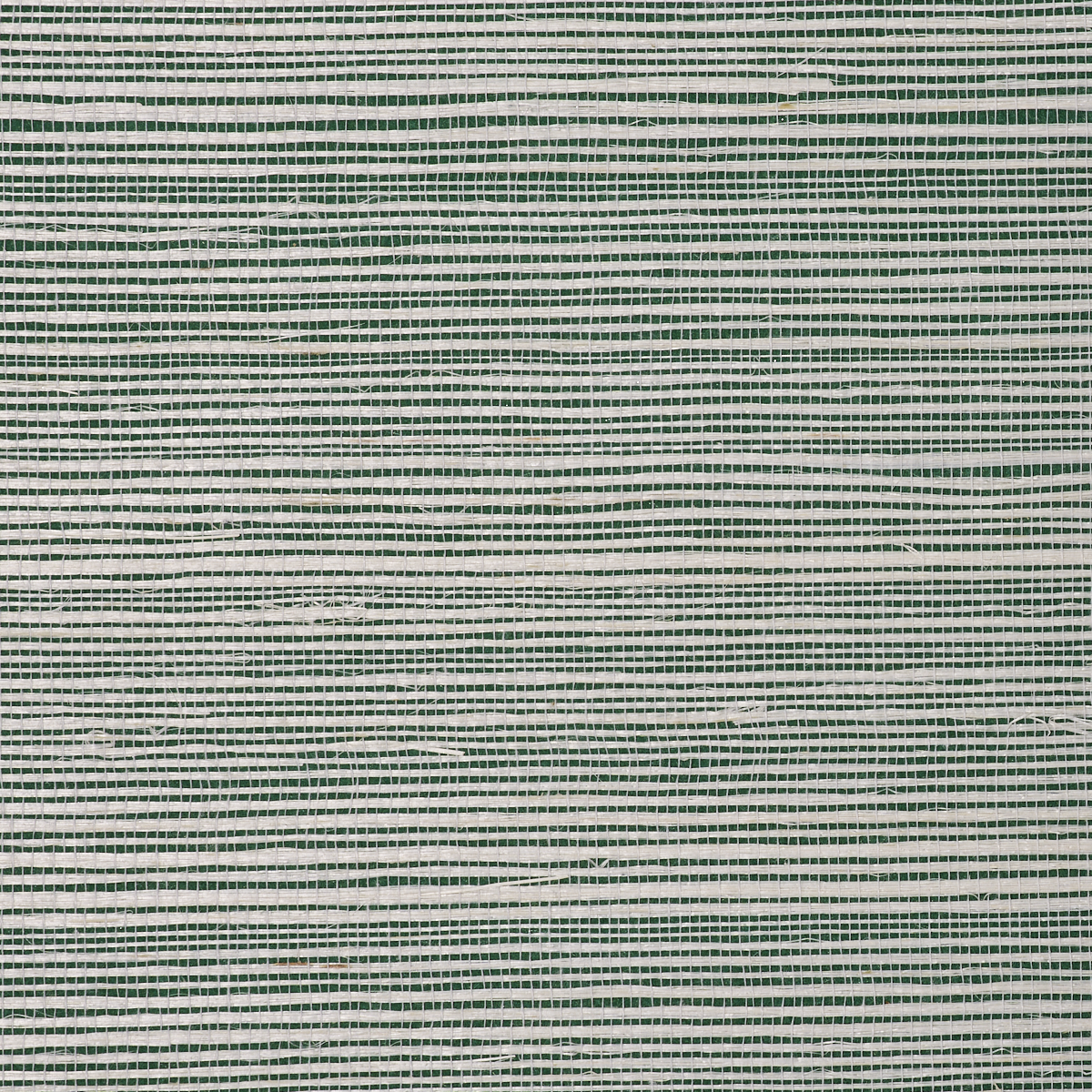 BERMUDA-HEMP-TROPIC-GREEN-PHILLIP-JEFFRIES-5523