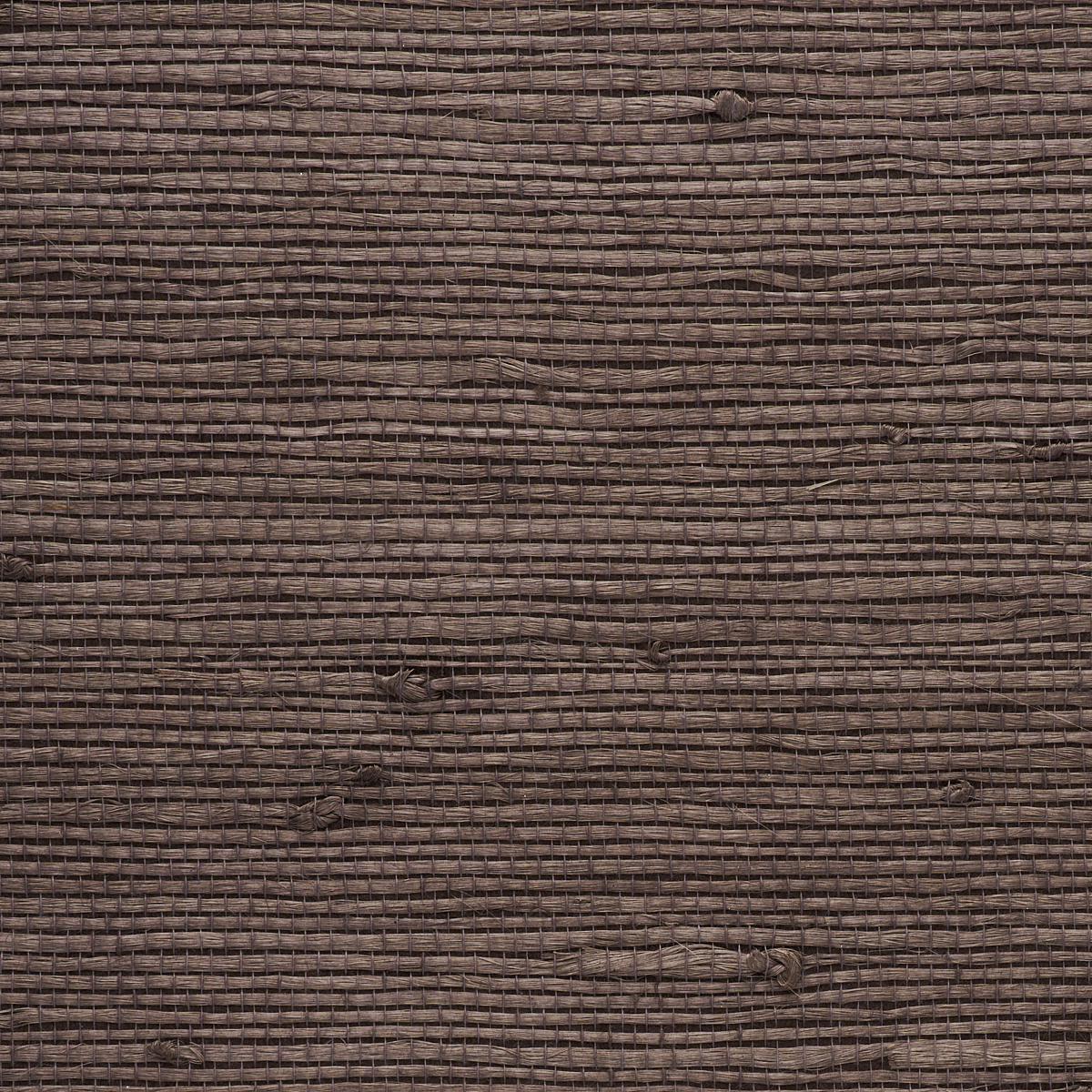 JUICY-JUTE-SEA-OTTER-PHILLIP-JEFFRIES-9262