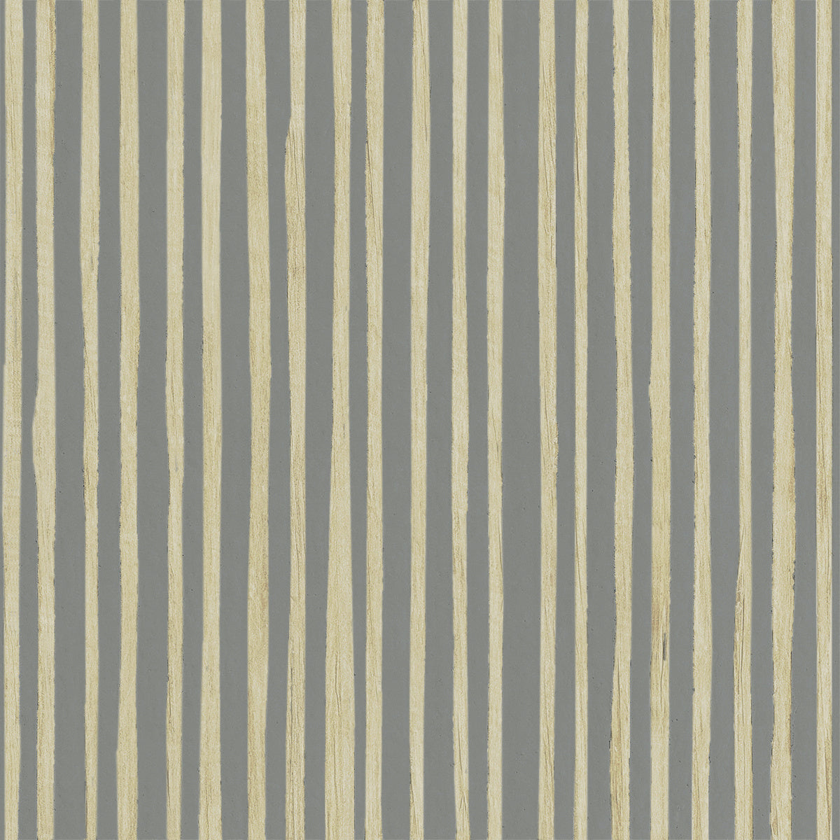 ZEBRA-GRASS-COASTAL-CRME-PHILLIP-JEFFRIES-10367