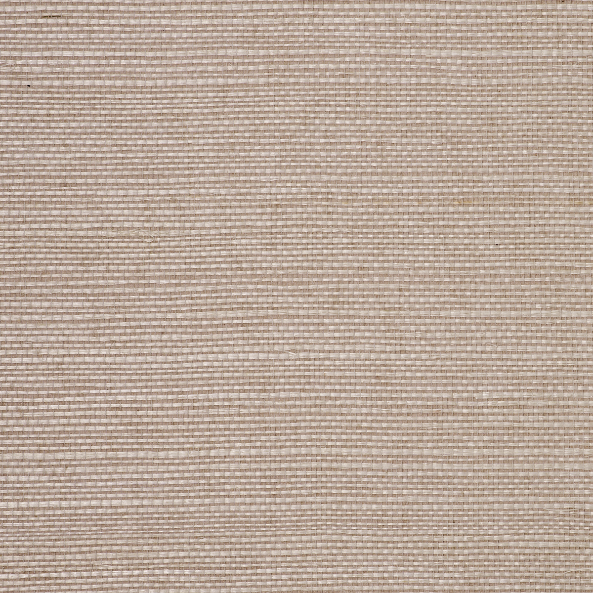 MANILA-HEMP-BLUSH-PHILLIP-JEFFRIES-5232