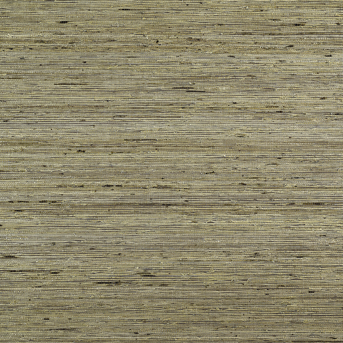 EXTRA-FINE-ARROWROOT-MINERAL-PHILLIP-JEFFRIES-3837