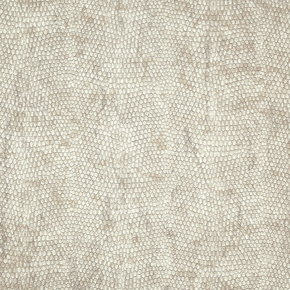 VINYL-SNAKESKIN-RATTLESNAKE-PHILLIP-JEFFRIES-10248 - Phillip Jeffries Wallpaper Wallpaper