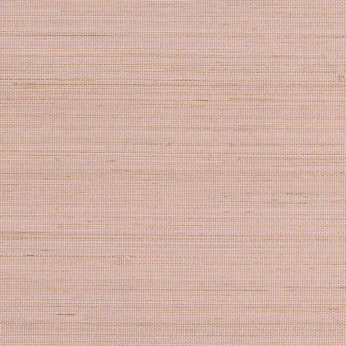 ABACA-HARVEST-DESERT-ROSE-PHILLIP-JEFFRIES-1107