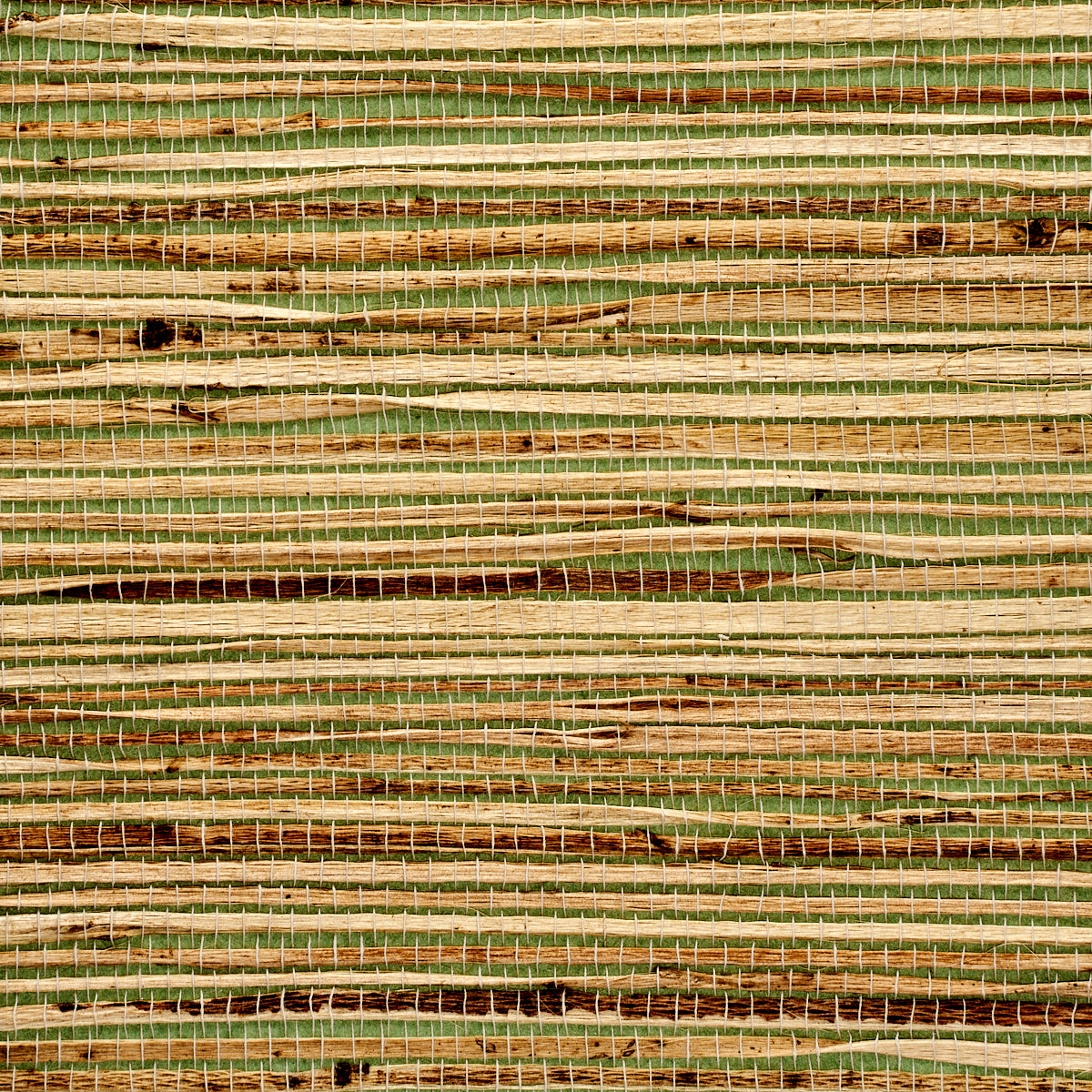 GRASS-ROOTS-TROPICAL-HORIZON-PHILLIP-JEFFRIES-9149 - Phillip Jeffries Wallpaper Wallpaper