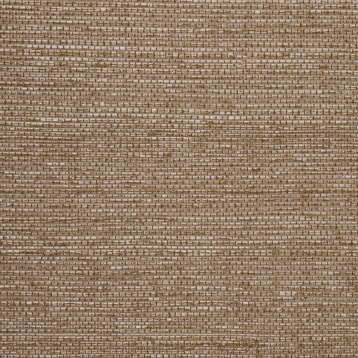 SAINT-GERMAIN-HEMP-GOLD-ON-TAN-PHILLIP-JEFFRIES-5983