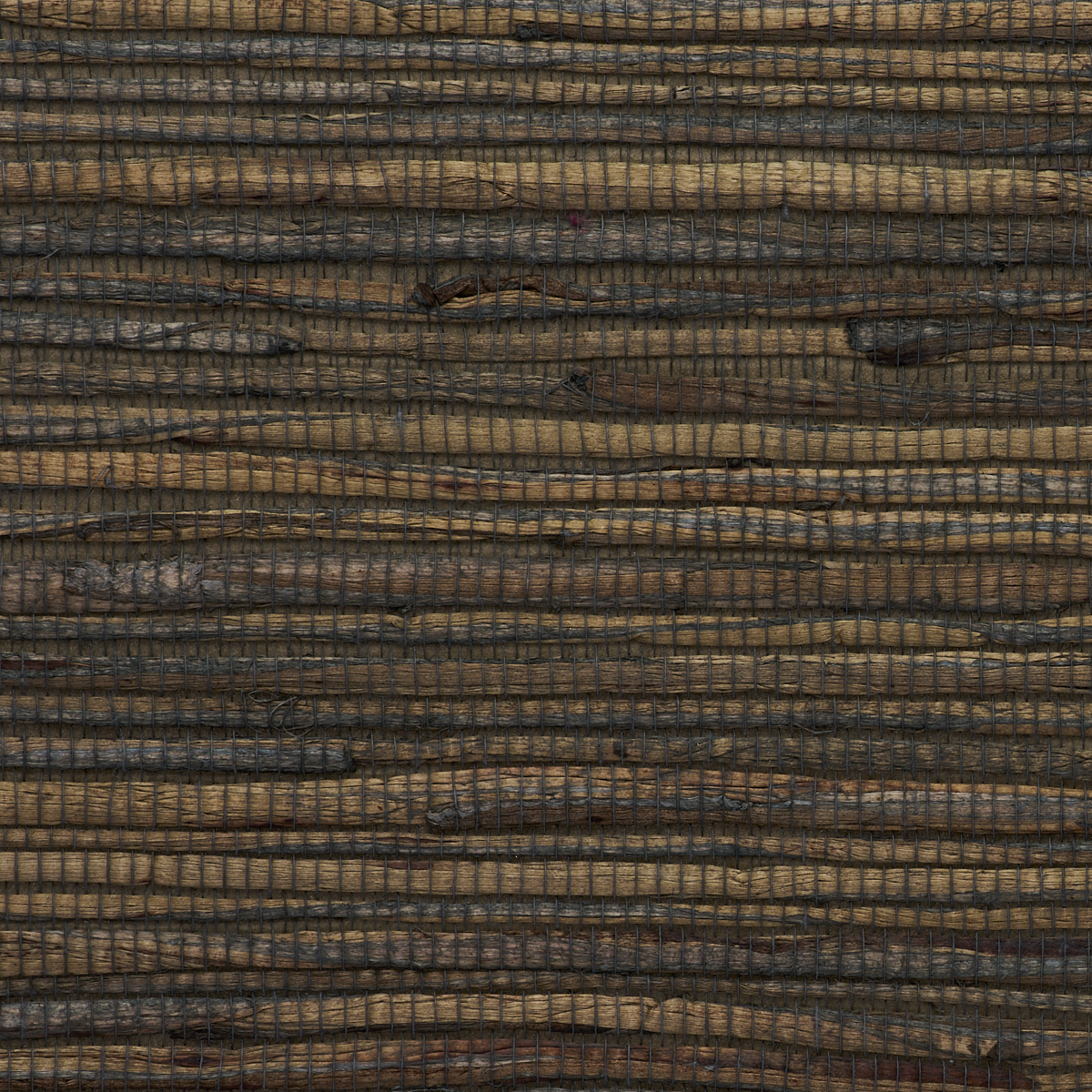 JUICY-JUTE-BLUEGRASS-PHILLIP-JEFFRIES-4782