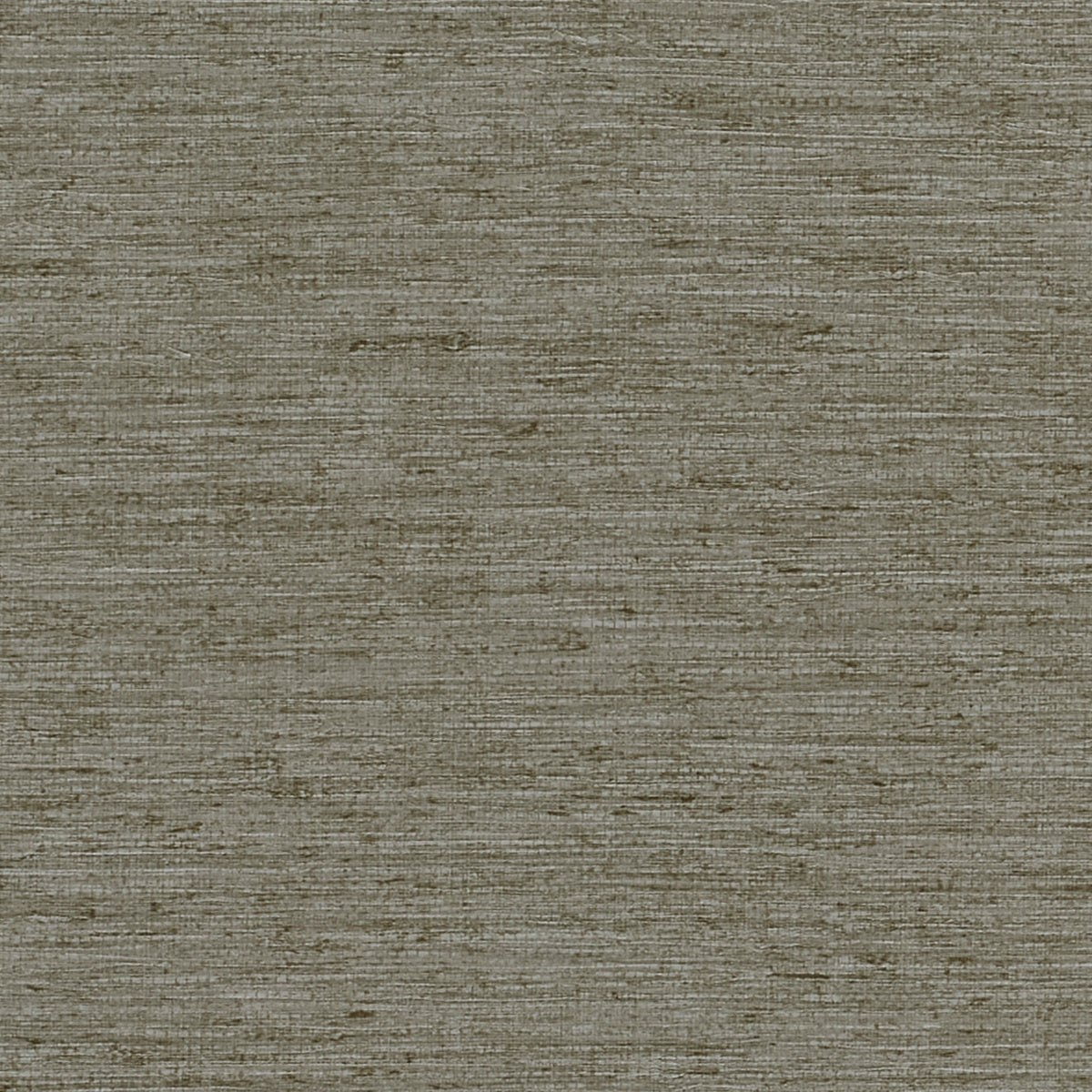 VINYL-EXTRA-FINE-ARROWROOT-SAGEBRUSH-PHILLIP-JEFFRIES-8809 - Phillip Jeffries Wallpaper Wallpaper
