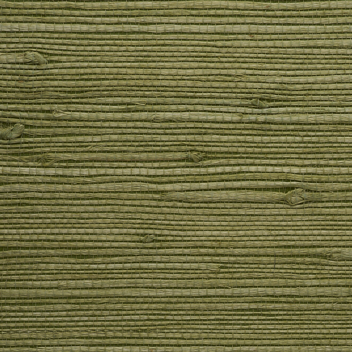 JUICY-JUTE-GARDEN-GREEN-PHILLIP-JEFFRIES-9259