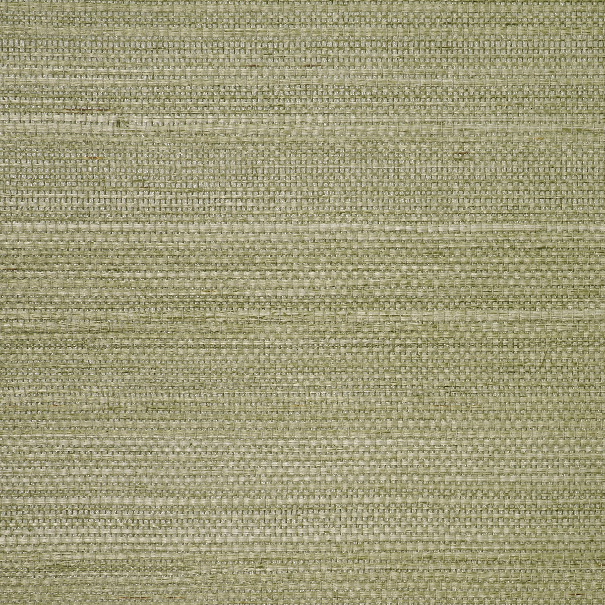 MANILA-HEMP-HONEYDEW-PHILLIP-JEFFRIES-9810