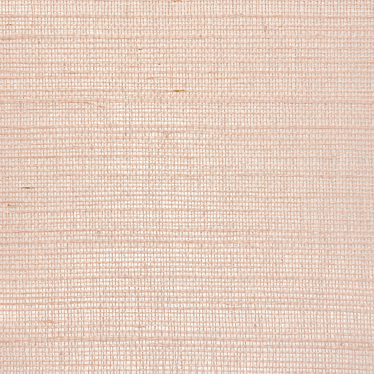 GLAM-GRASS-PINK-CHARMING-PHILLIP-JEFFRIES-1938 - Phillip Jeffries Wallpaper Papel pintado