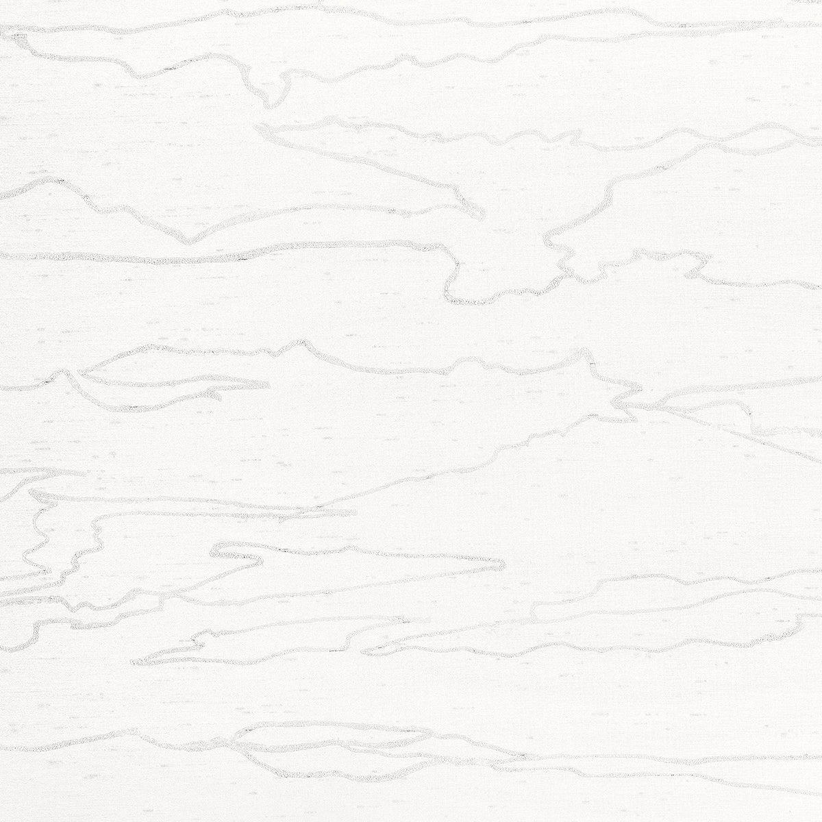 Silken Streams Frosted Pewter - Phillip Jeffries 36300