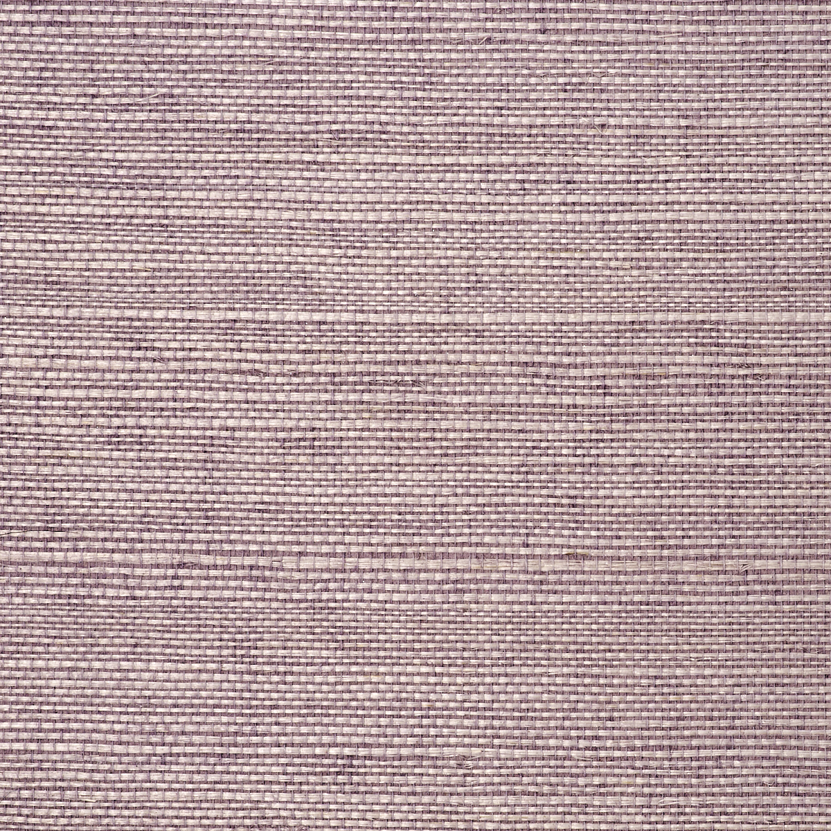 MANILA-HEMP-THISTLE-PHILLIP-JEFFRIES-9823 - Phillip Jeffries Wallpaper Papel pintado