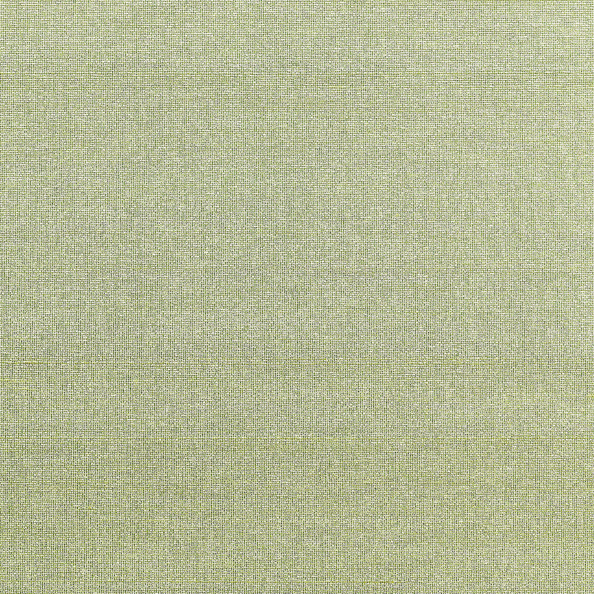SHADES-OF-SILK-THYME-PHILLIP-JEFFRIES-10513 - Phillip Jeffries Wallpaper Wallpaper