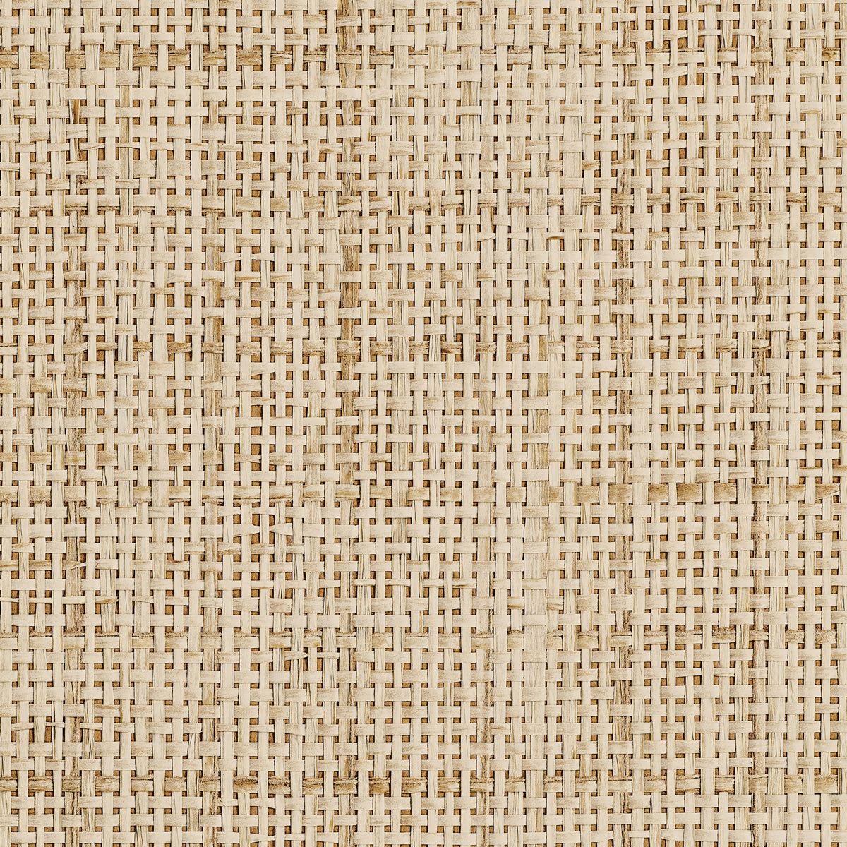 GRACEFUL-GRID-HONEYED-PHILLIP-JEFFRIES-10484 - Phillip Jeffries Wallpaper Wallpaper