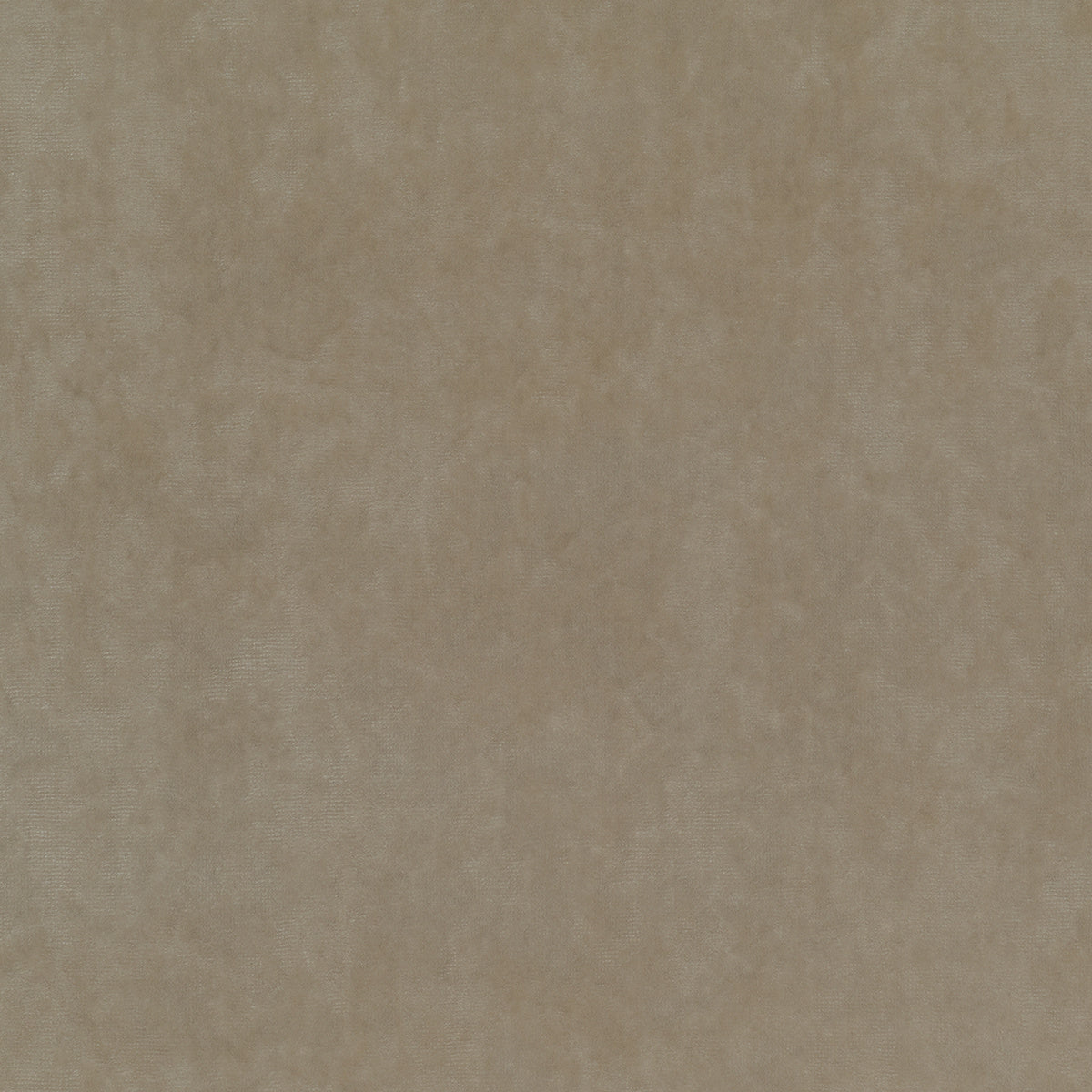 CURTAIN-CALL-OVATION-PHILLIP-JEFFRIES-32801 - Phillip Jeffries Wallpaper Wallpaper