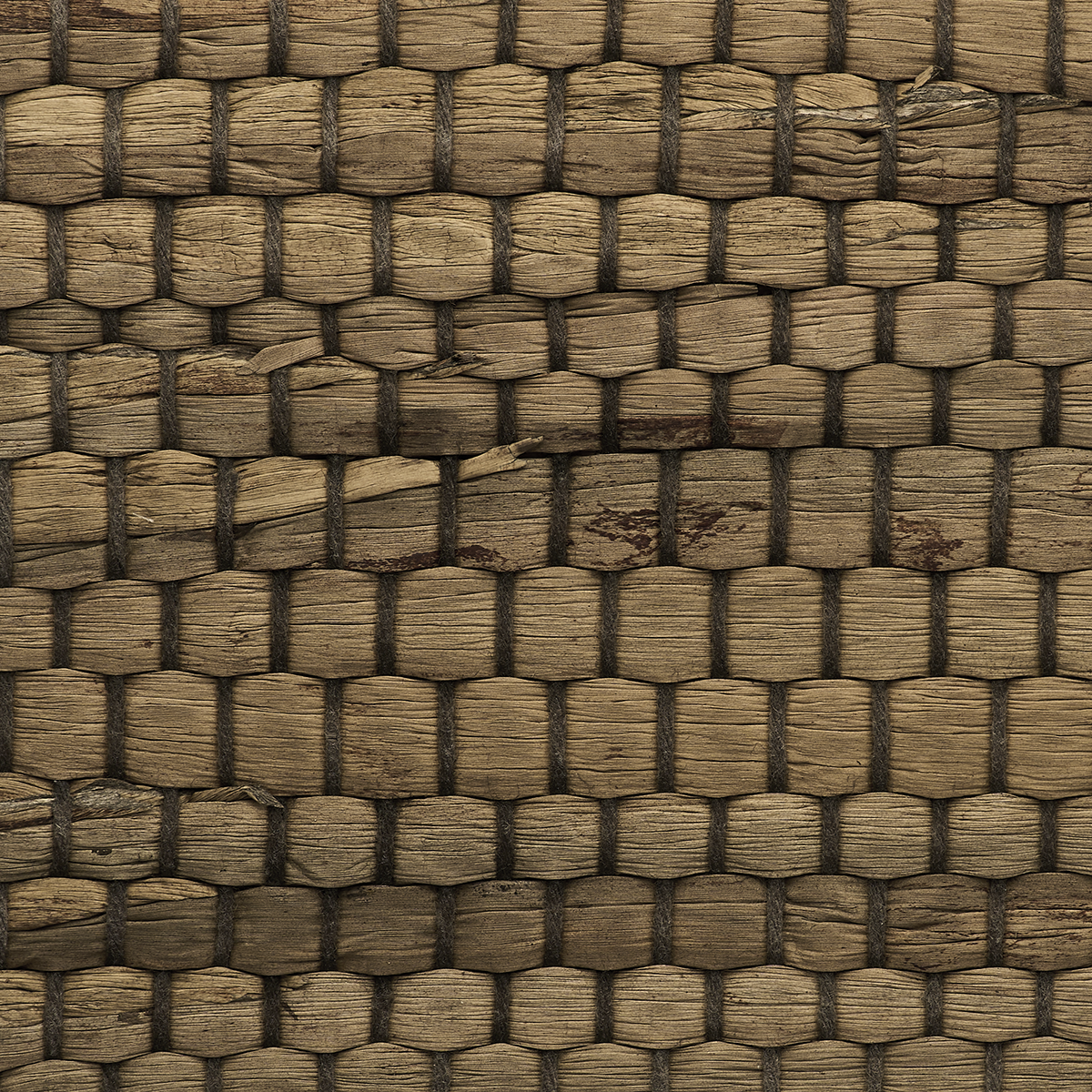 BRAIDED-WALLS-HAVANA-PHILLIP-JEFFRIES-3152