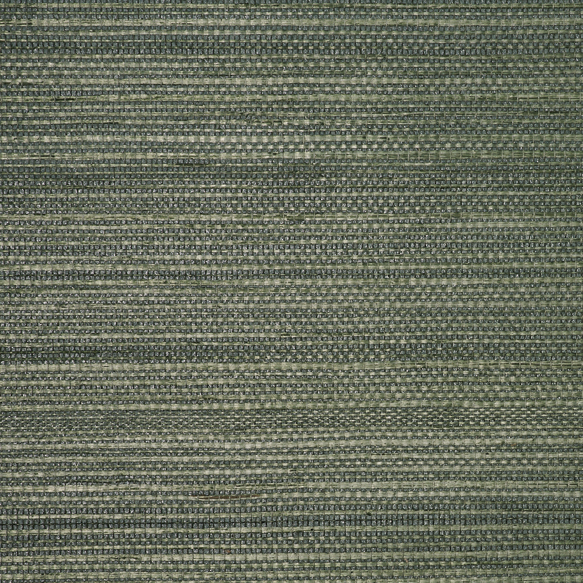 MANILA-HEMP-WINTERGREEN-PHILLIP-JEFFRIES-9811