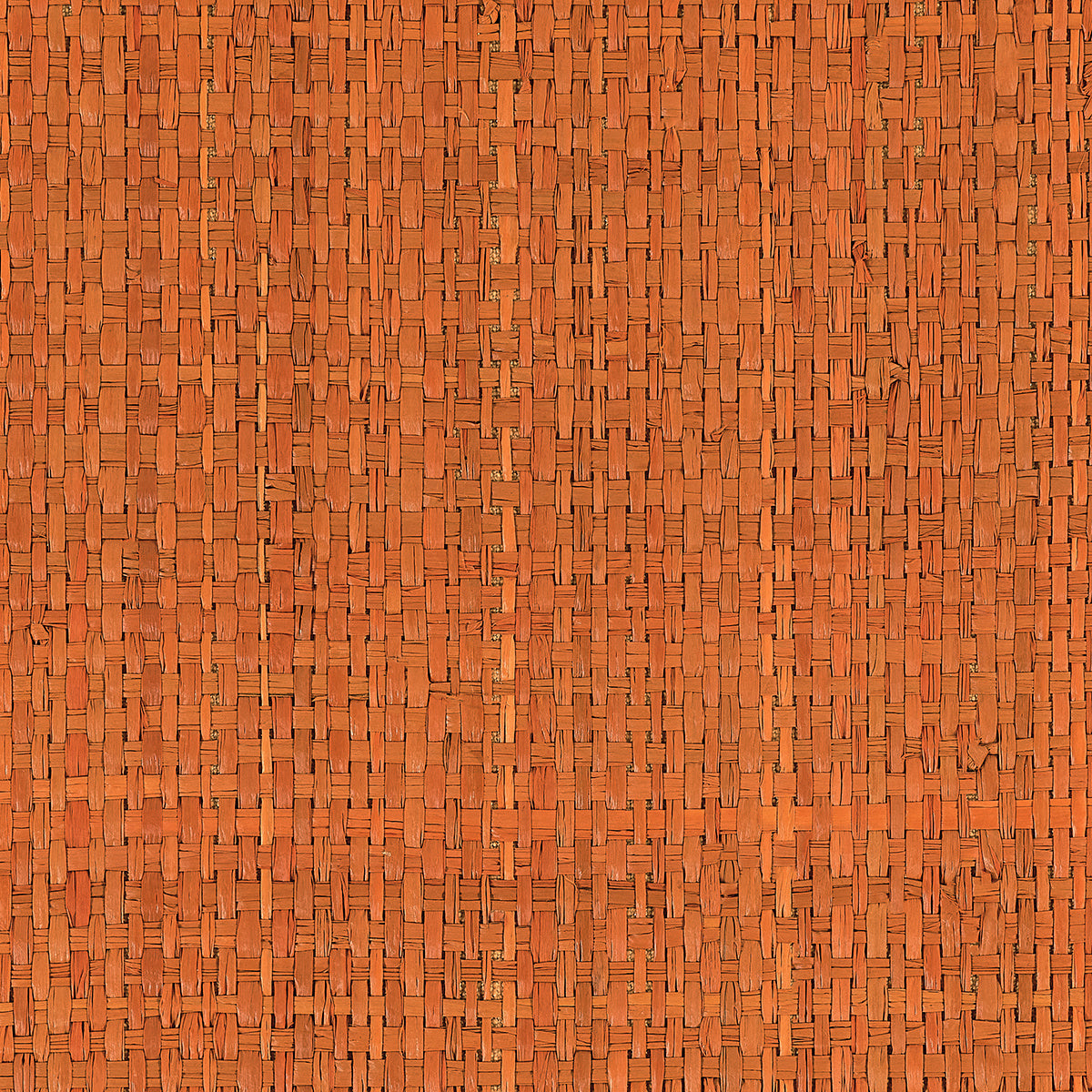 AFRICAN-RAFFIA-TURKS-AND-CAICOS-ORANGE-PHILLIP-JEFFRIES-3480 - Phillip Jeffries Wallpaper Wallpaper