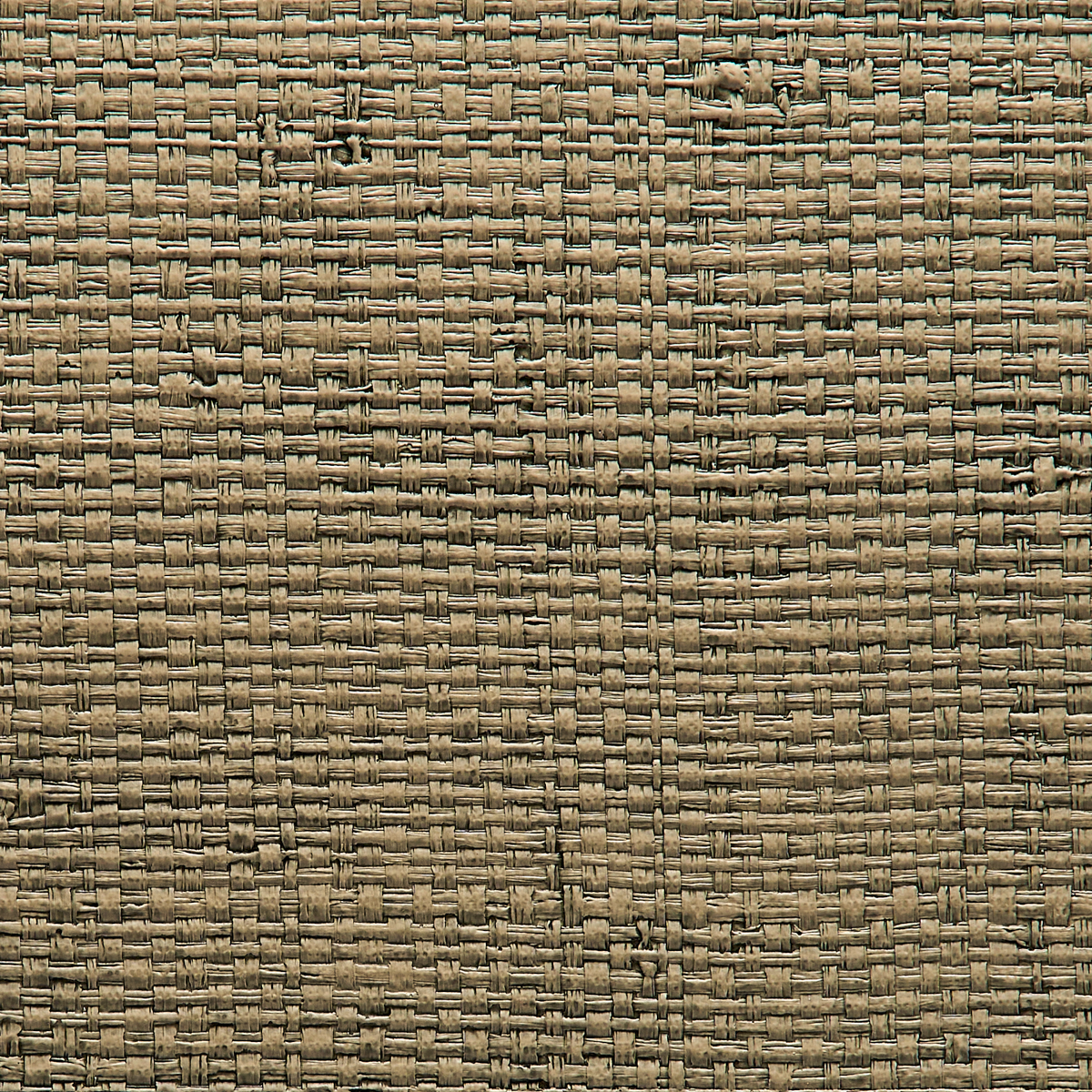 VINYL-ISLAND-RAFFIA-DRIED-PALM-PHILLIP-JEFFRIES-9450
