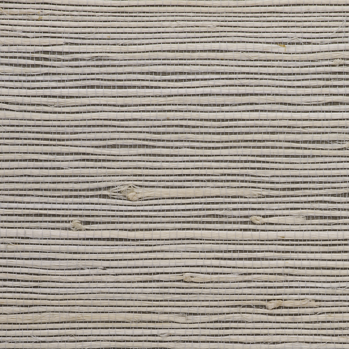 JUICY-JUTE-DOVE-TAIL-PHILLIP-JEFFRIES-4763 - Phillip Jeffries Wallpaper Wallpaper