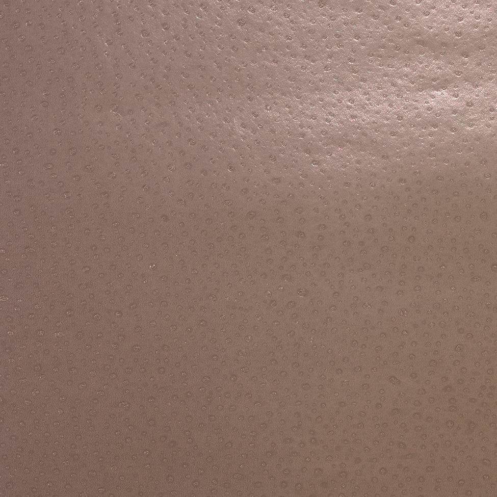 CHAMPAGNE-WISHES-ROS-PHILLIP-JEFFRIES-6884 - Phillip Jeffries Wallpaper Wallcovering