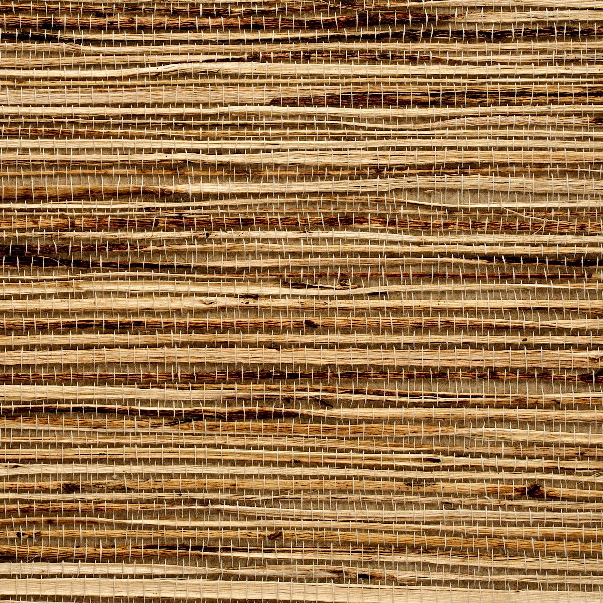 GRASS-ROOTS-BACK-TO-THE-BASICS-PHILLIP-JEFFRIES-3368