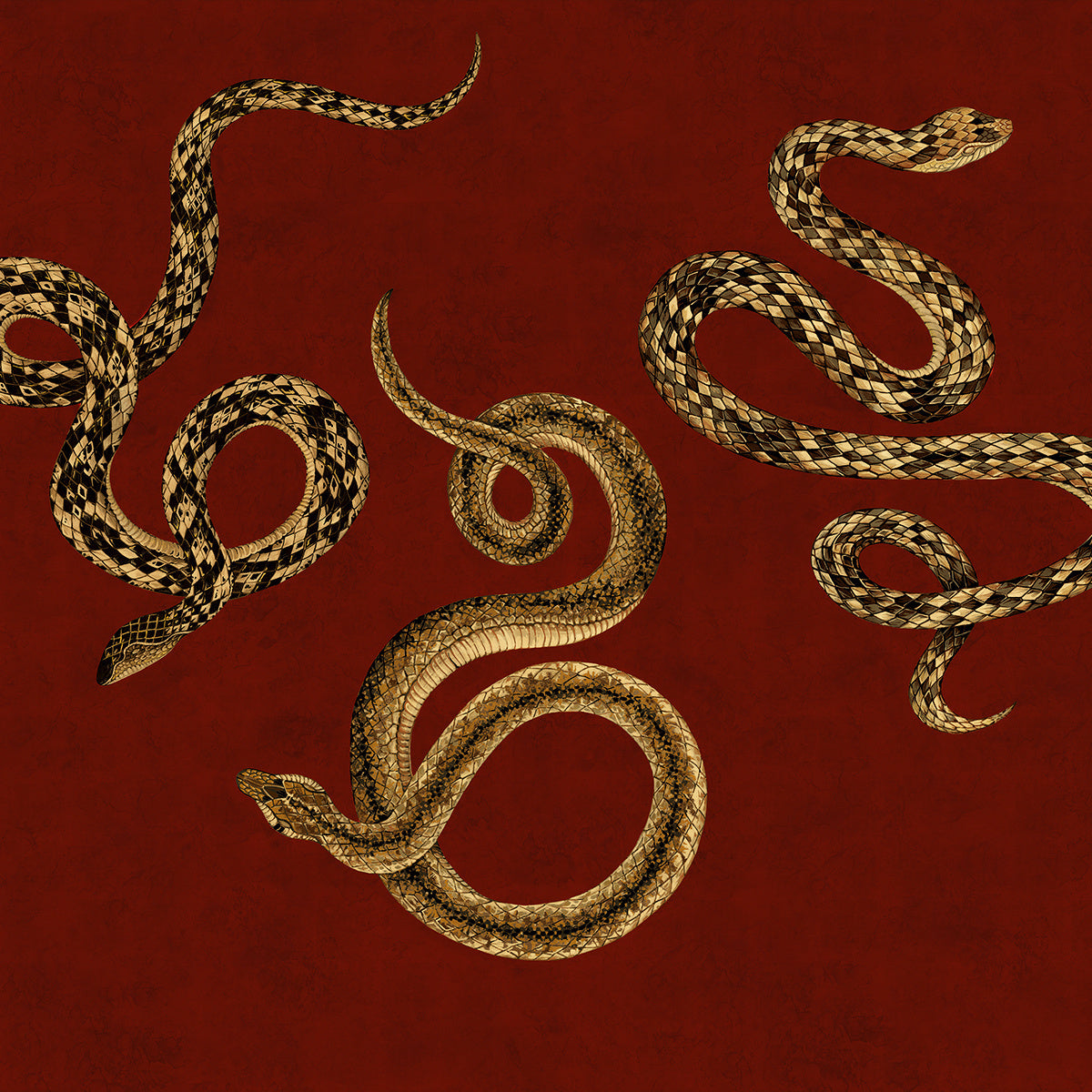 SERPENT-SERPENT-FIRE-ON-GILDED-METALLIC-LEAF-PHILLIP-JEFFRIES-10603 - Phillip Jeffries Wallpaper Wallcovering