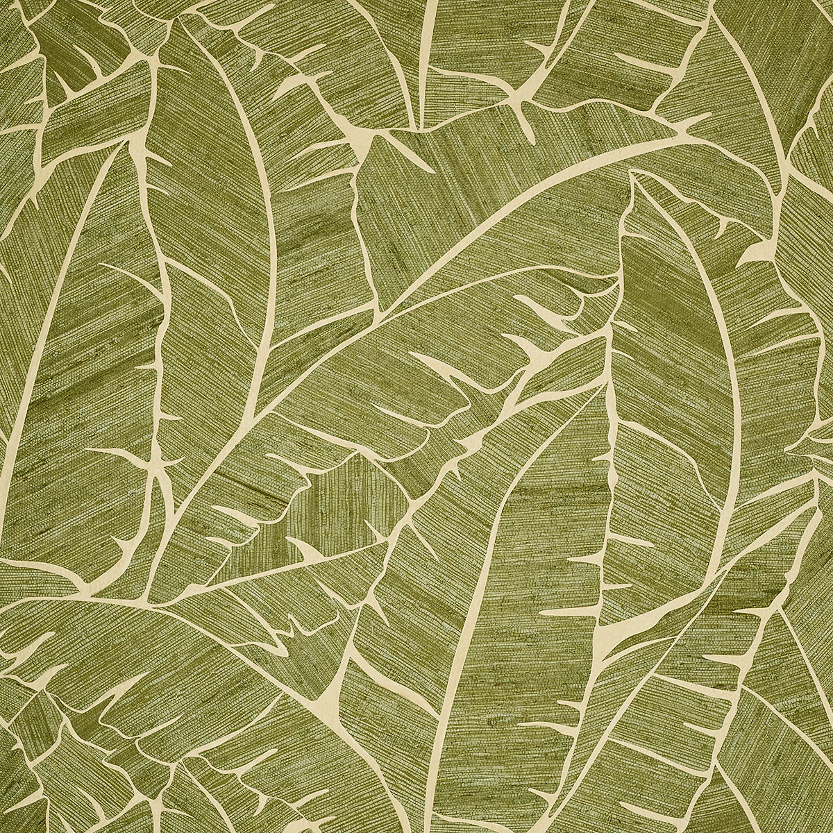 PALM-PARADISE-VERDE-VISTA-PHILLIP-JEFFRIES-10560 - Phillip Jeffries Wallpaper Wallcovering