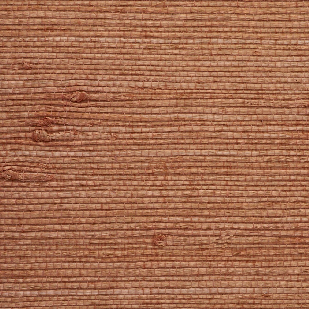 JUICY-JUTE-FLORIDA-ORANGE-PHILLIP-JEFFRIES-9260 - Phillip Jeffries Wallpaper Wallpaper