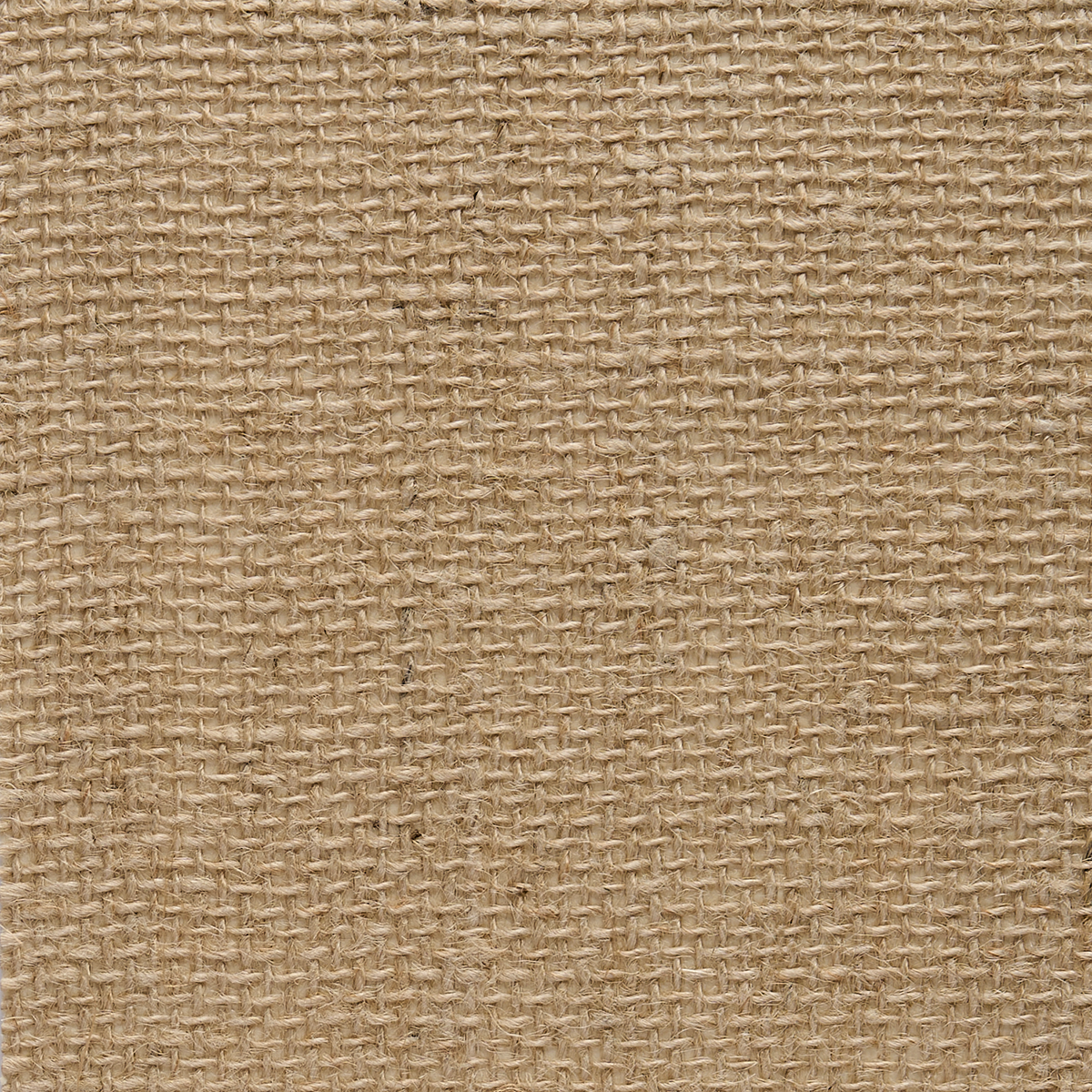 JAPANESE-WOVEN-JUTE-CREAM-PHILLIP-JEFFRIES-079