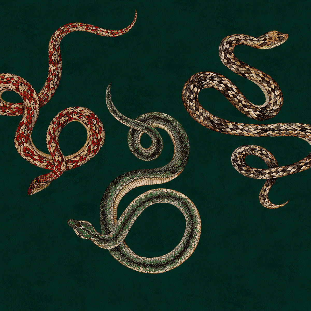SERPENT-MYSTIC-HISS-ON-GILDED-METALLIC-LEAF-PHILLIP-JEFFRIES-10604 - Phillip Jeffries Wallpaper Wallcovering