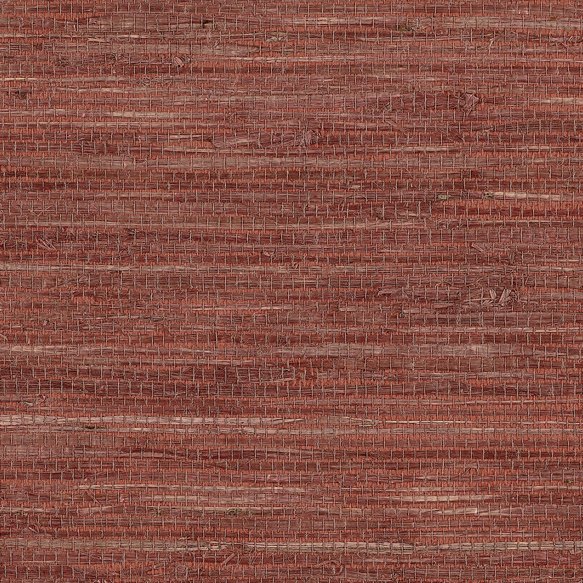 EXTRA-FINE-ARROWROOT-EMBER-PHILLIP-JEFFRIES-10807