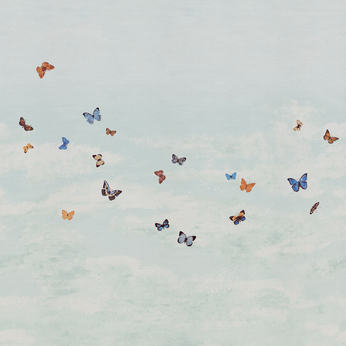 BUTTERFLY-SKY-WHITE-ADMIRAL-ON-WOVEN-WALLS-PHILLIP-JEFFRIES-9665 - Phillip Jeffries Wallpaper Wallcovering