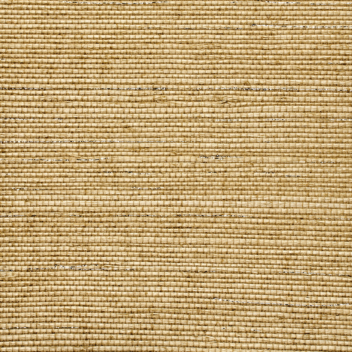 GLAM-GRASS-MOROCCAN-SAND-PHILLIP-JEFFRIES-5214