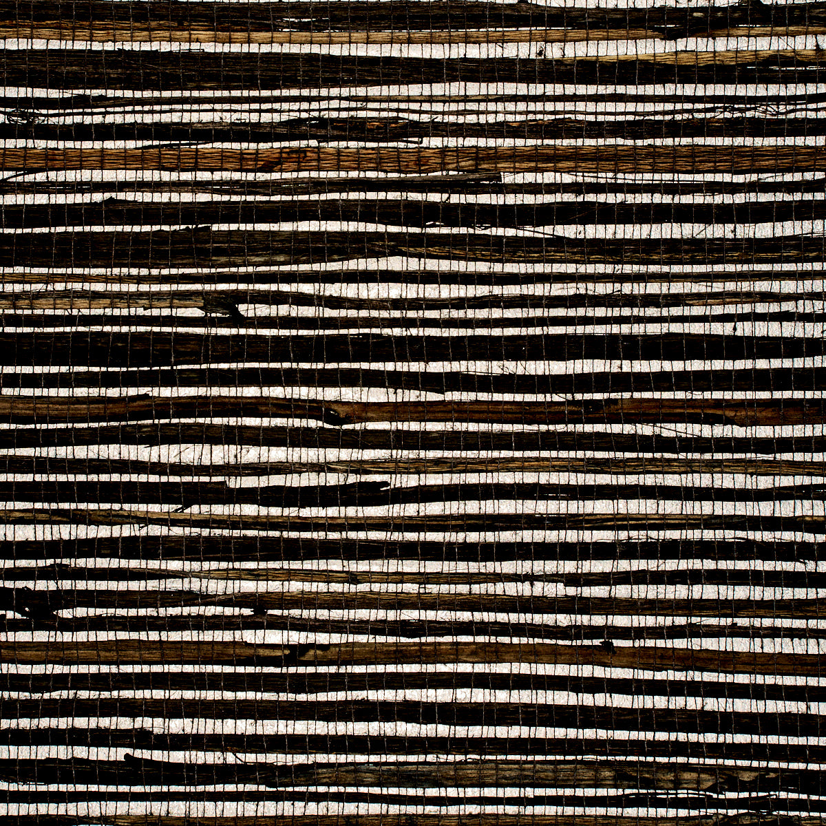 GRASS-ROOTS-BALDWIN-STEEL-PHILLIP-JEFFRIES-3384 - Phillip Jeffries Wallpaper Wallpaper