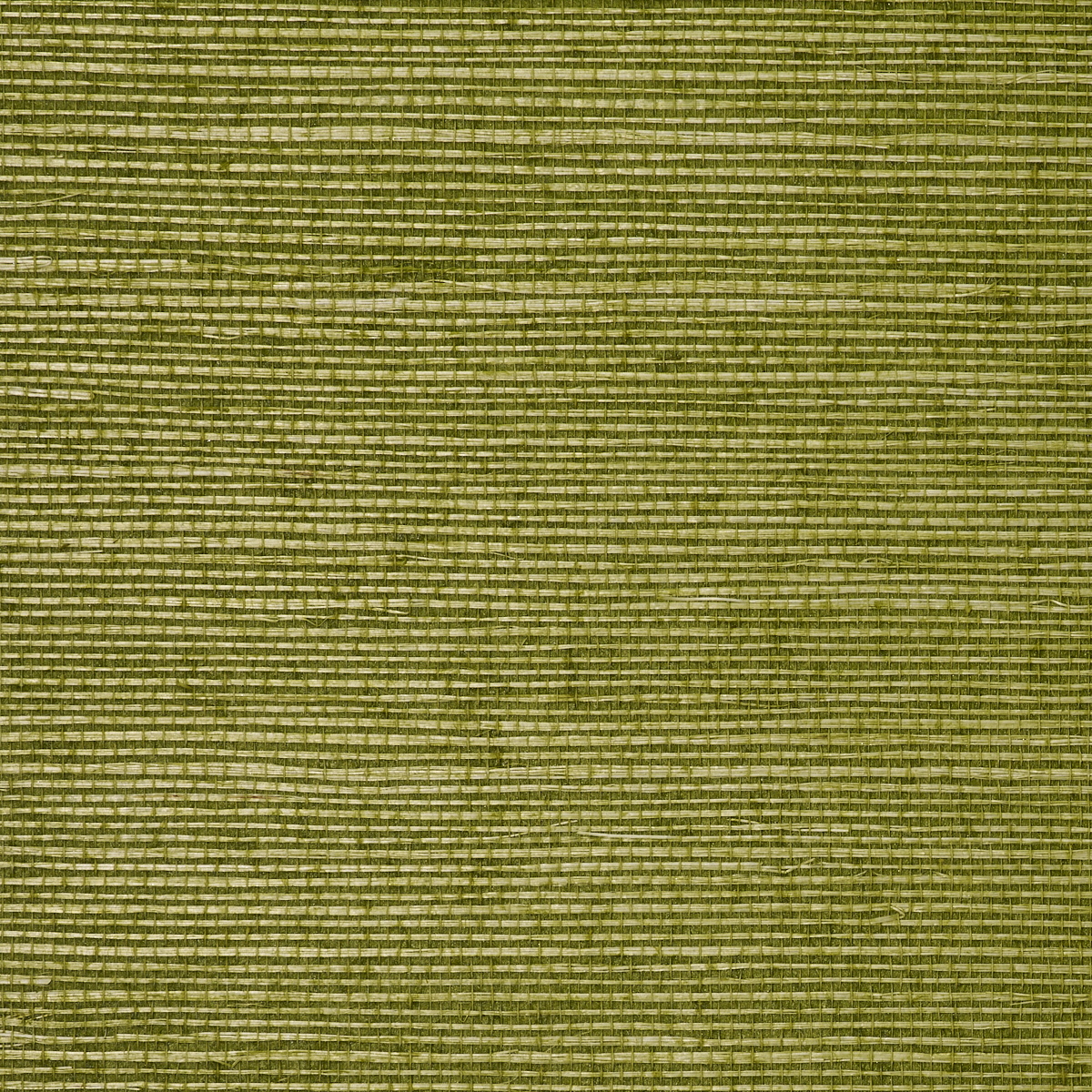 MANILA-HEMP-GRASS-GREEN-PHILLIP-JEFFRIES-5268