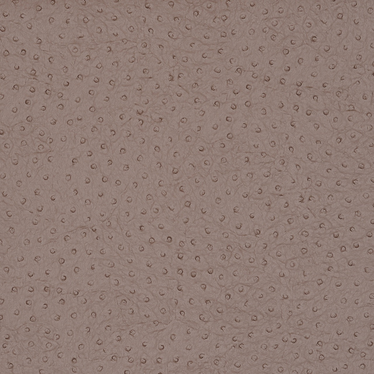VINYL-OSTRICH-AMANDE-PHILLIP-JEFFRIES-8113 - Phillip Jeffries Wallpaper Wallcovering