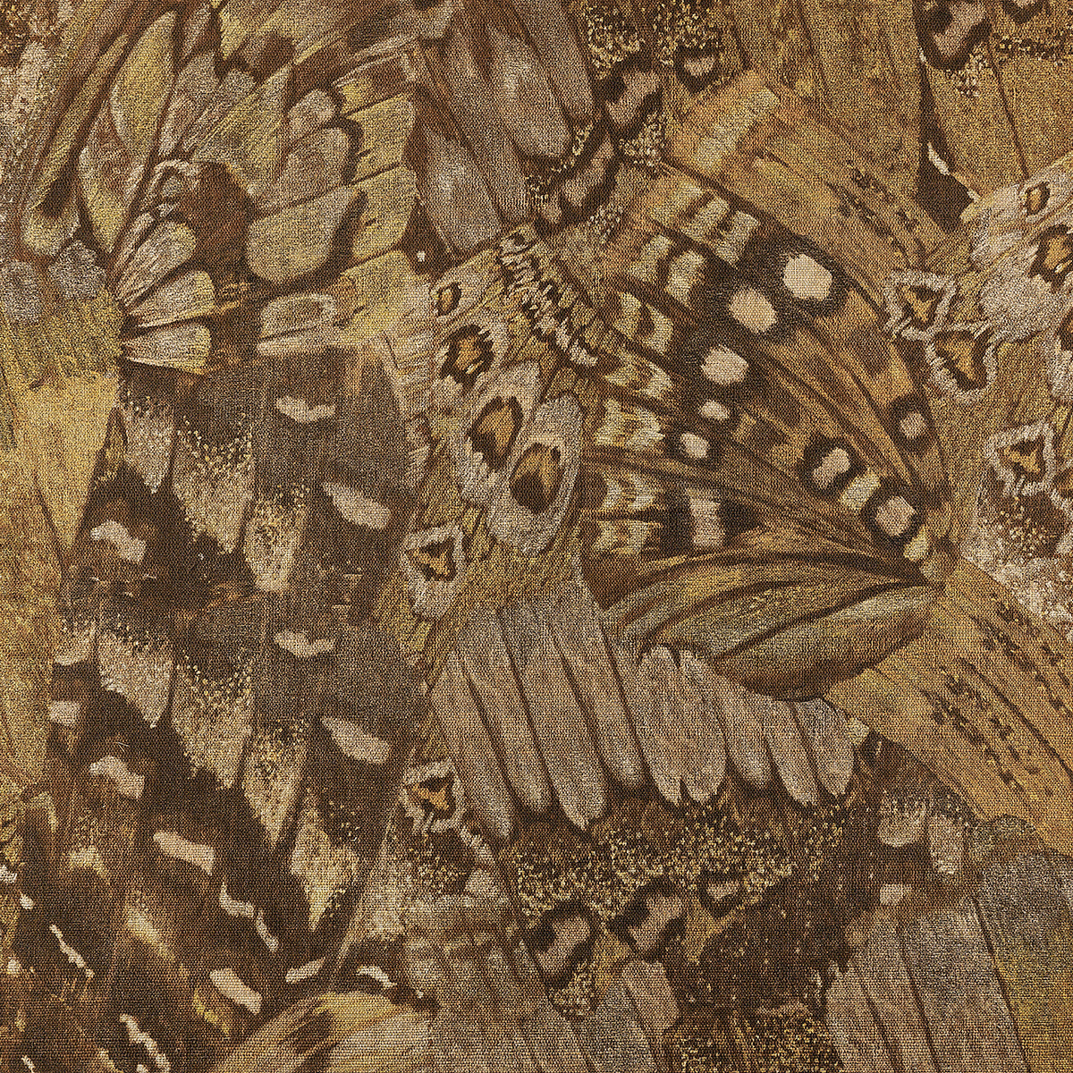AFLUTTER-DASHING-BROWN-ON-GLAM-GRASS-PHILLIP-JEFFRIES-9836 - Phillip Jeffries Wallpaper Wallcovering