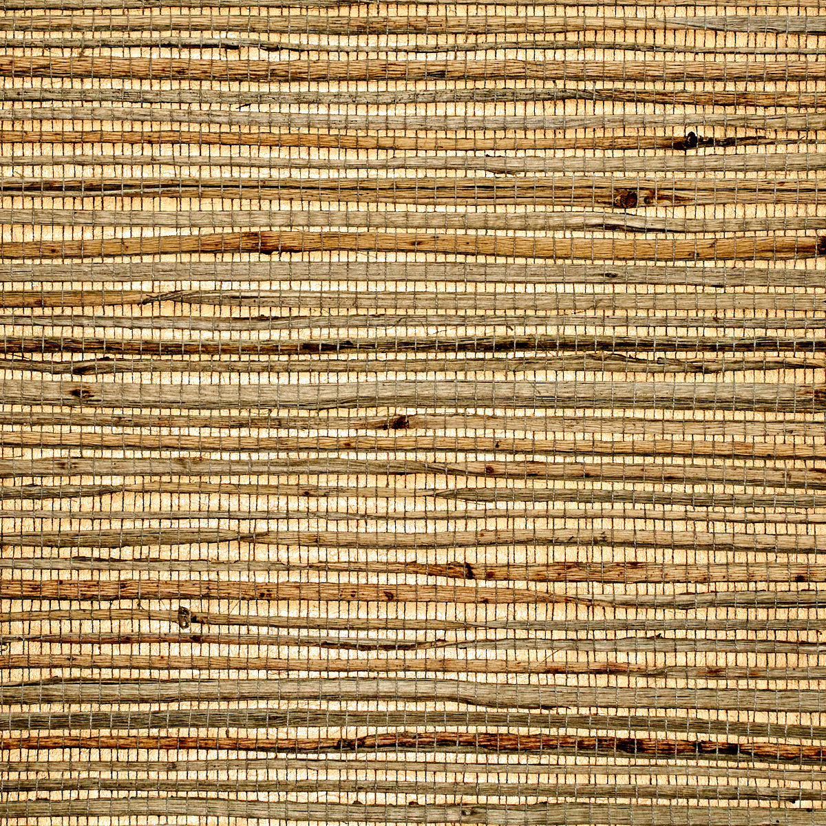 Grass Roots Olive Dream - Phillip Jeffries 3386 -Wallpaper