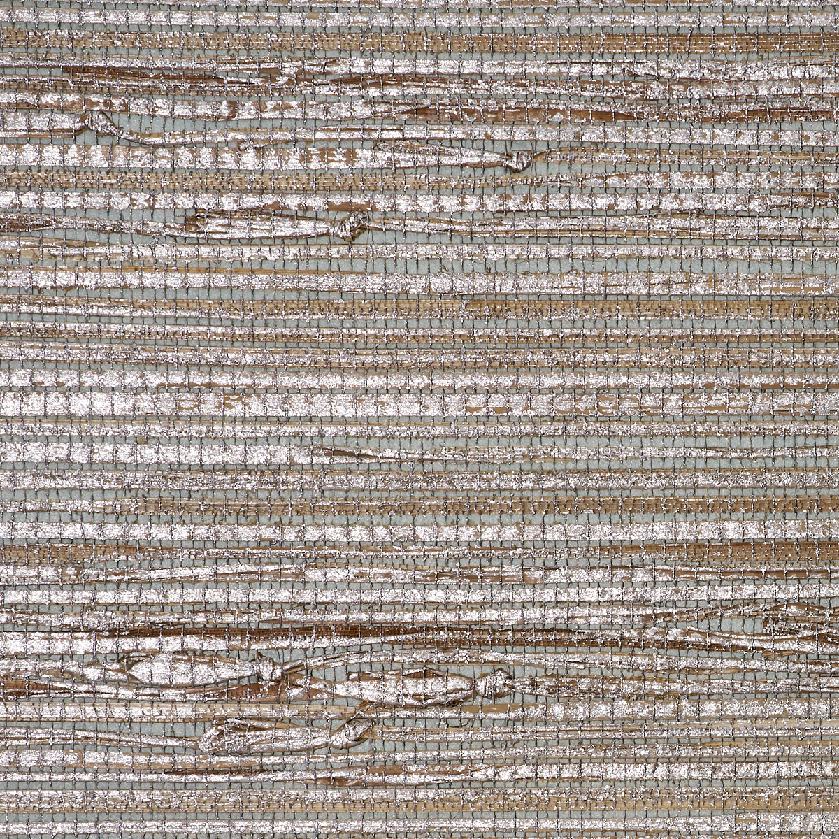 SHORELINE-GRASS-SILVER-SOUVENIR-PHILLIP-JEFFRIES-9157