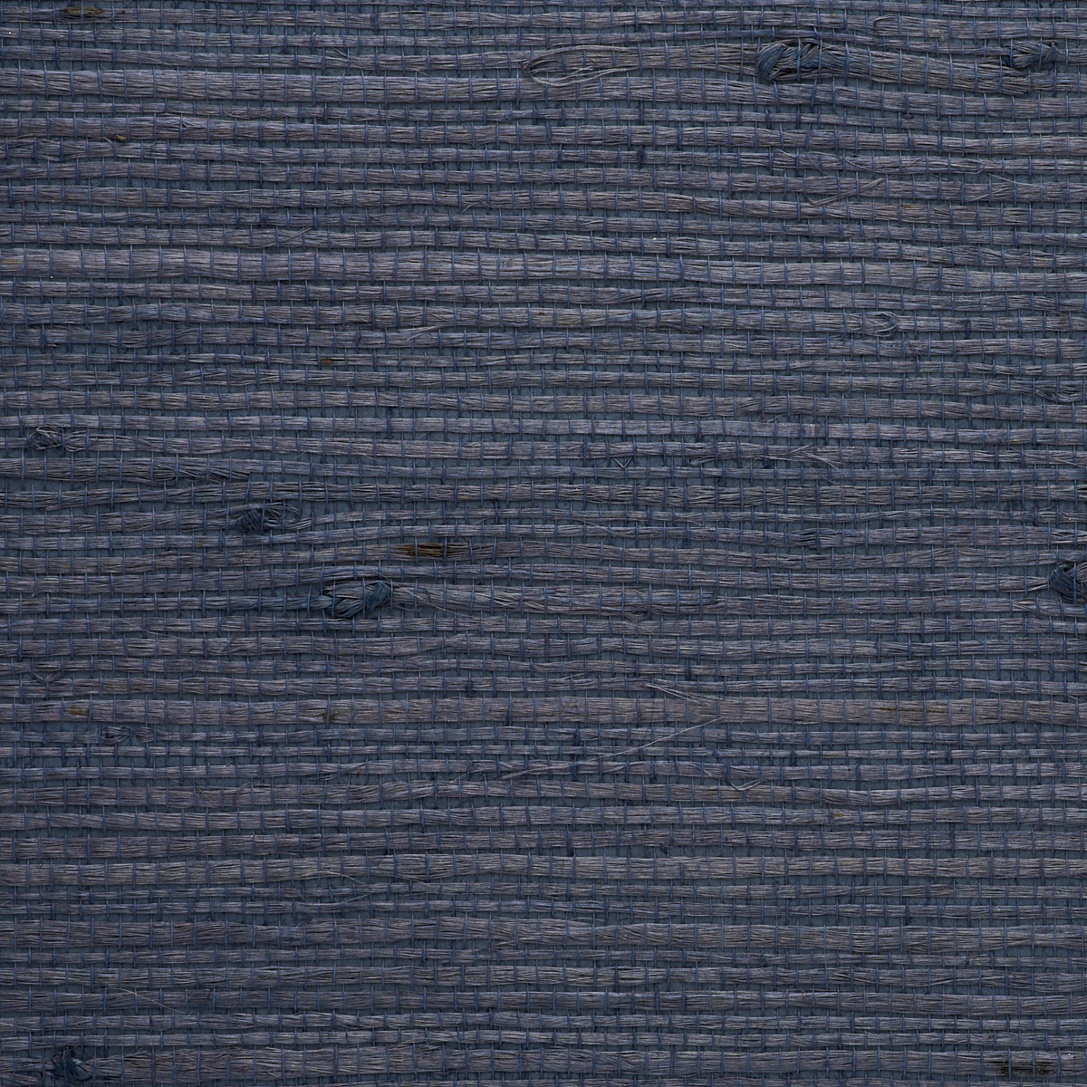 JUICY-JUTE-BLUE-VIOLET-PHILLIP-JEFFRIES-9256