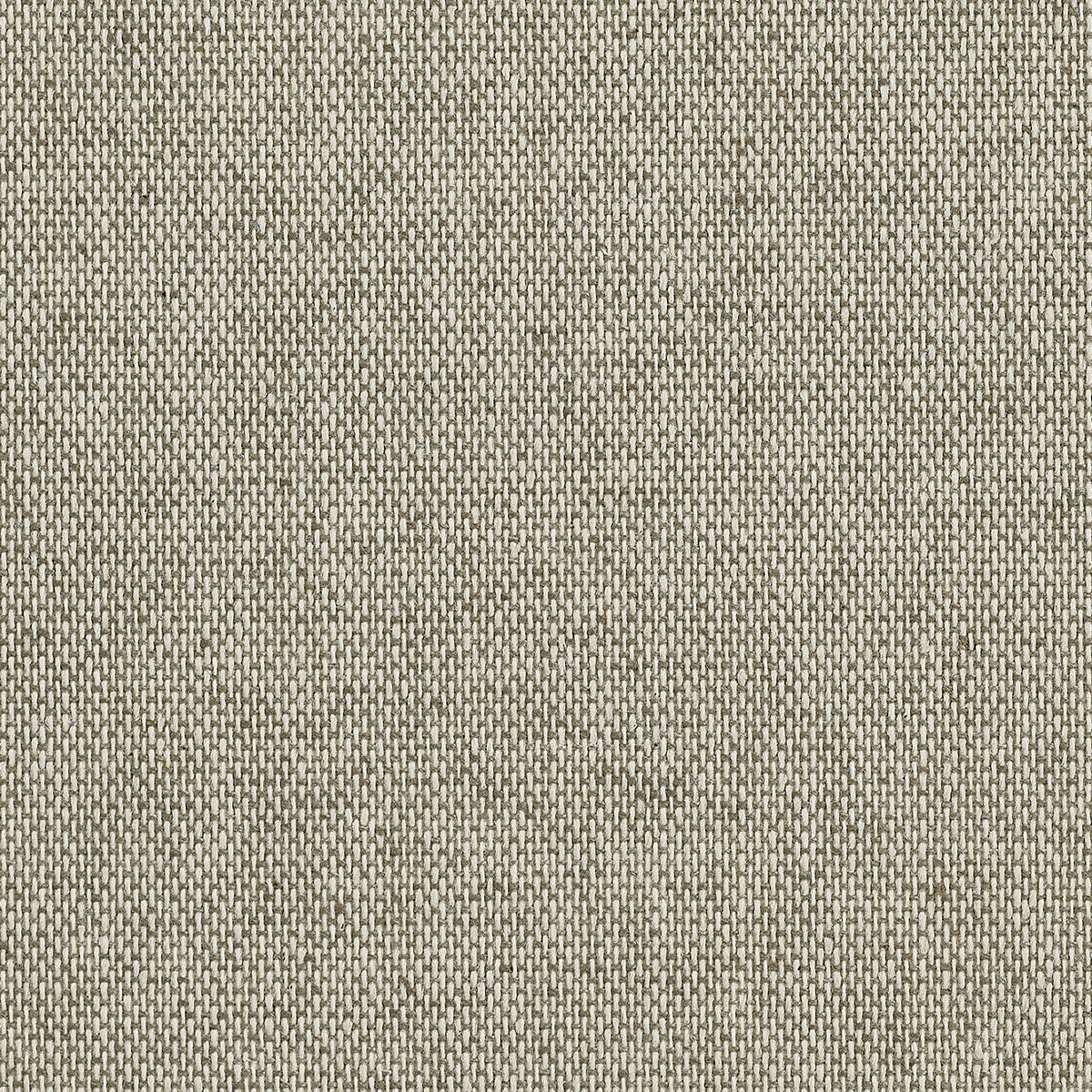 TWEED-NORFOLK-GREIGE-PHILLIP-JEFFRIES-5458