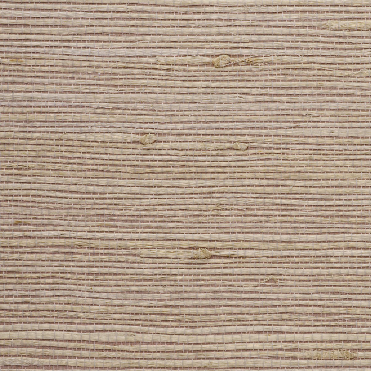 JUICY-JUTE-HIBISCUS-PHILLIP-JEFFRIES-4770